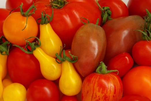 Tomato 09