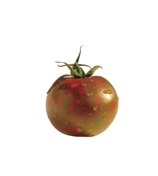 Tomato 11