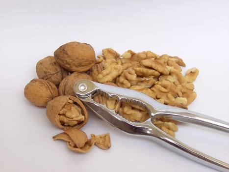 Walnut 05
