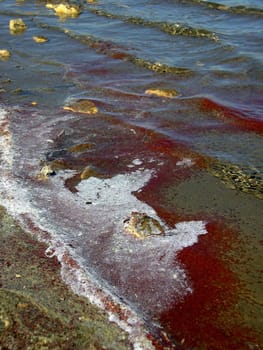 Saline 09