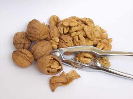 Walnut 06