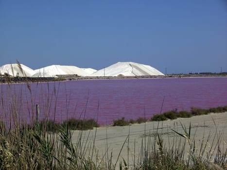 Saline 29