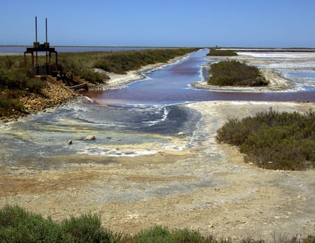 Saline 26
