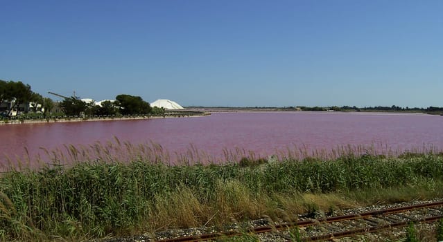 Saline 31
