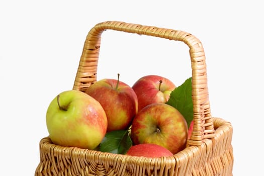 Apple Basket
