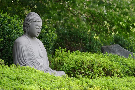 Buddha