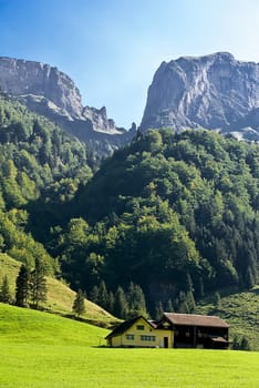 Alp Sigel