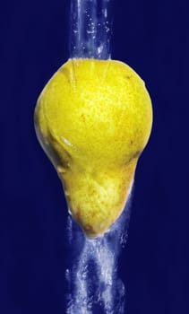 fresh pear