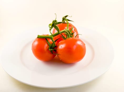 Tomatoes on plate-isolated