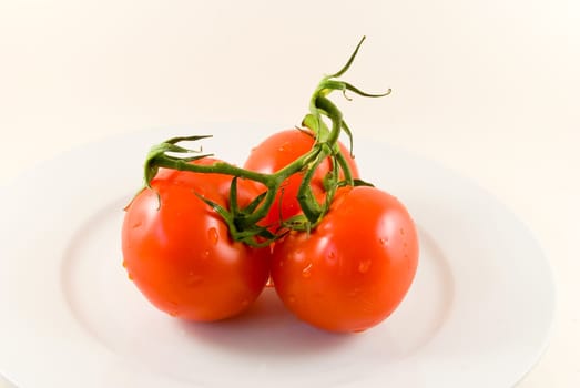 Tomatoes on plate-isolated