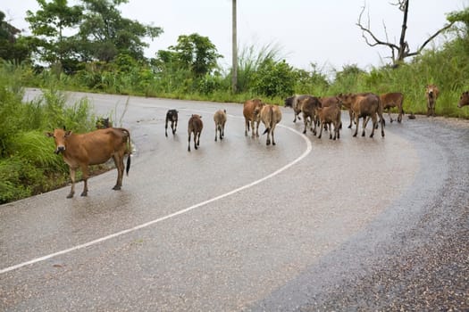 Traffic jam