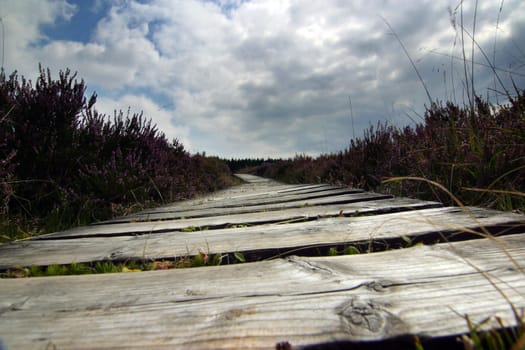 Moor footbridge in the High Fens