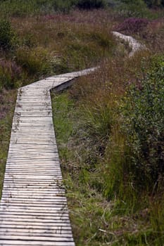 Wooden footbridge in the High Fens