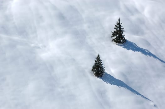 Winter Landscape 34