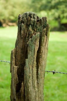 Pasture fence