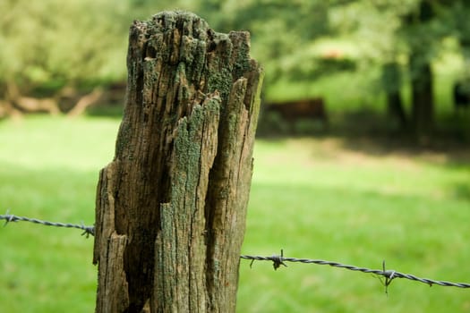 Pasture fence