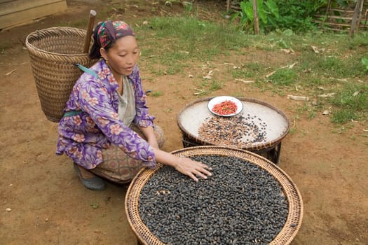 Hmong Woman