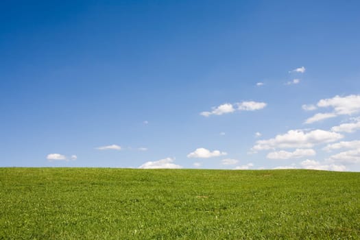 Landscape in summer