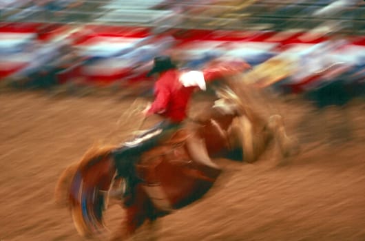 Rodeo