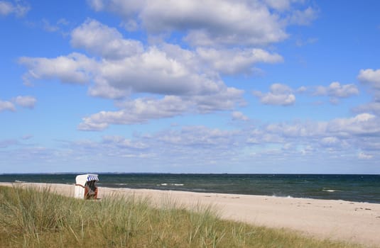 on the beach