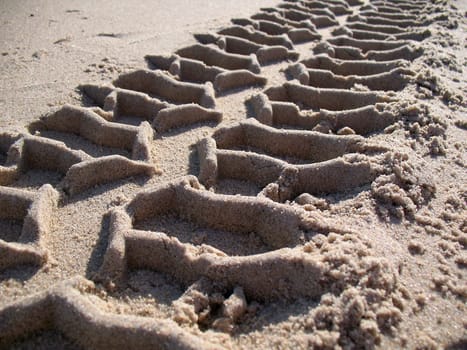 car tracks