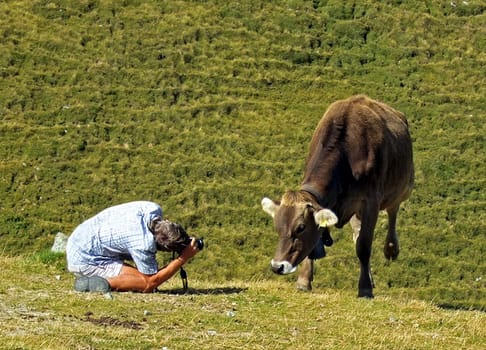 A cow can make it quite difficult to take pictures :-)