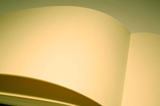 blank page of the book