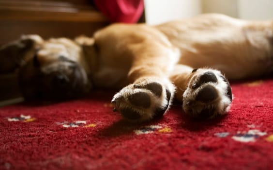 Doze...