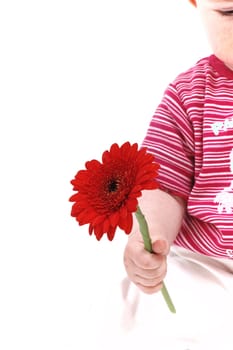 Flower greeting