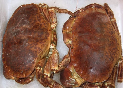 Crabs