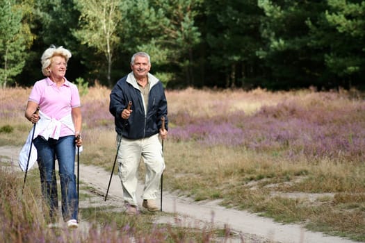 Nordik walking