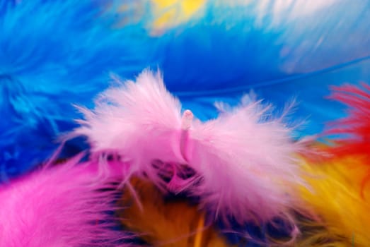Colorful Feathers