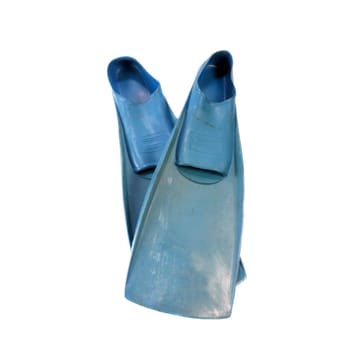 Old Blue Diving Fins