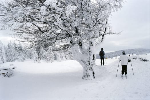 Cross-country skiing 1