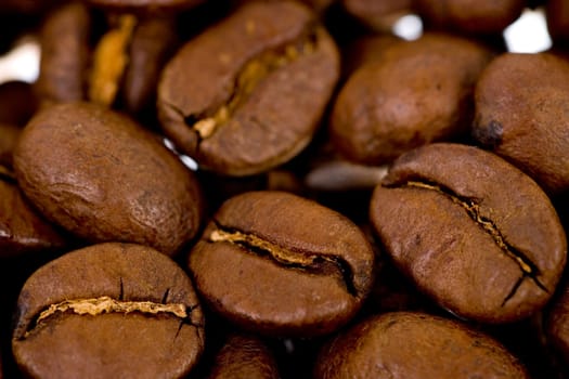 Coffee Beans Macro