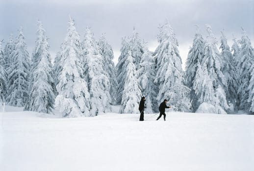 Cross-country skiing 2