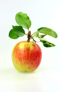 Apfel