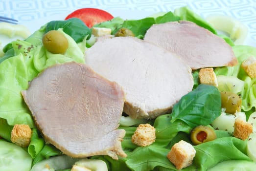Fried Pork Slices with Salad 4