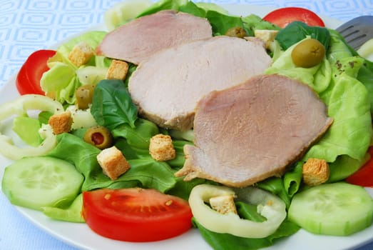 Fried Pork Slices with Salad 3