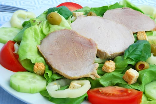 Fried Pork Slices with Salad 5