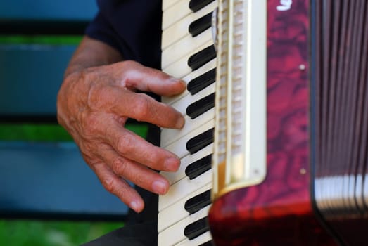 Accordion