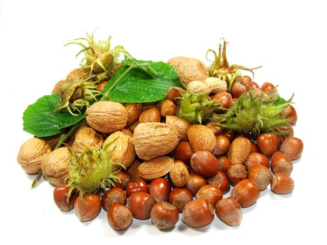 Nuts