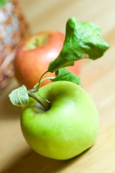 Apple Harvest