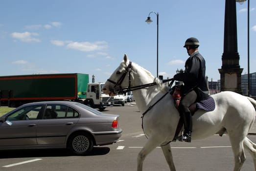 Everything under control - policeman on horseback