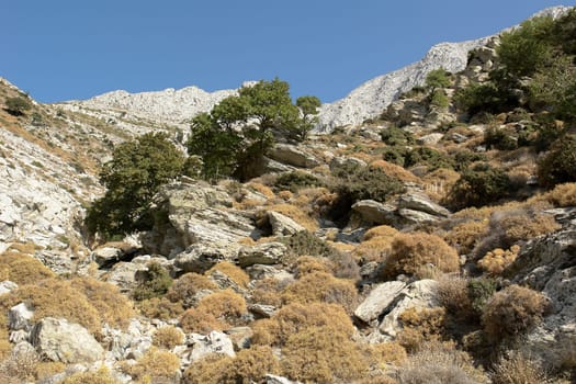 Mountain landscape at Zeus,Naxos