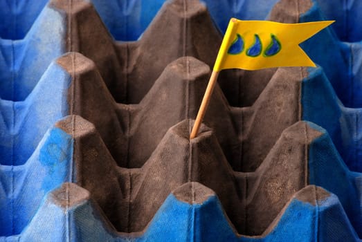 Colorful egg carton with flag