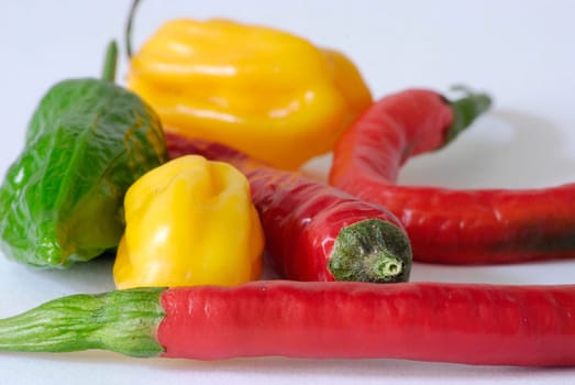 Paprika