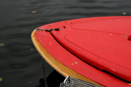 The boat