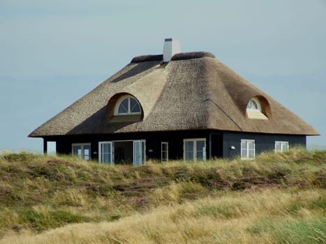 Dune House