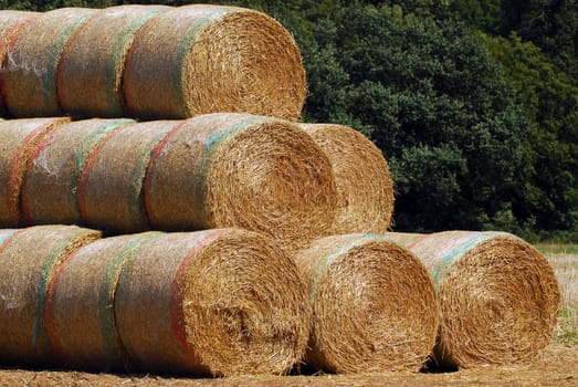 Straw